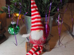 GH Timo mit Jo Star am 12.12.2025